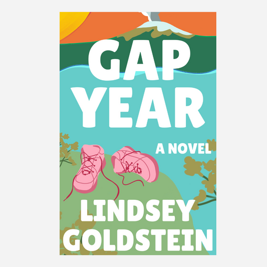 Gap Year: A Novel (paperback)